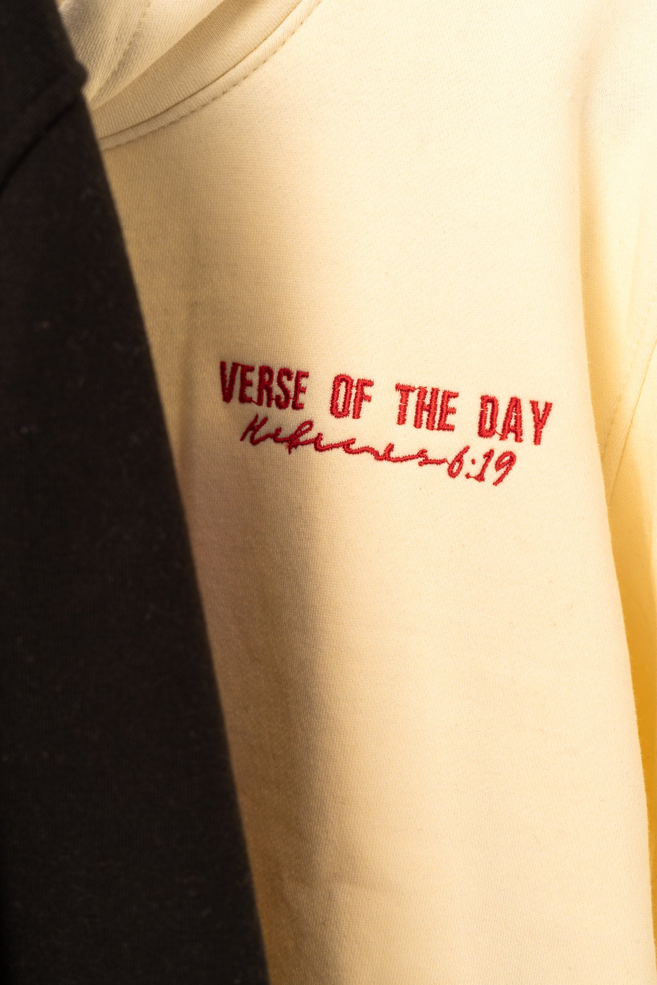 Anchored Hope Hoodie - Oyster